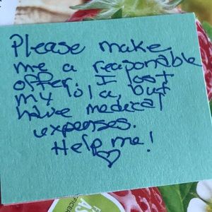 Love 💕 you Lola 🐾